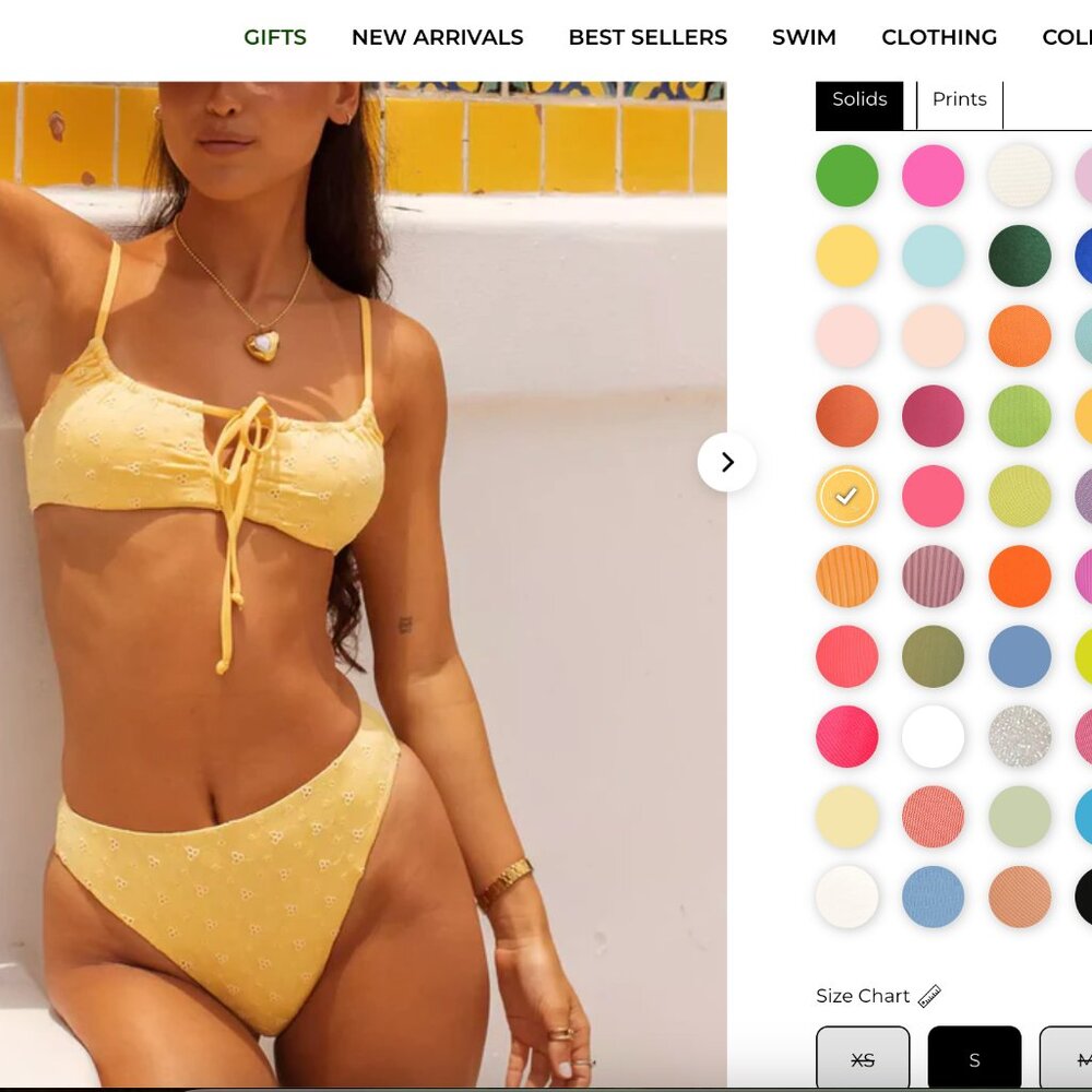Brand New Dippin Daisys Bathing Suit